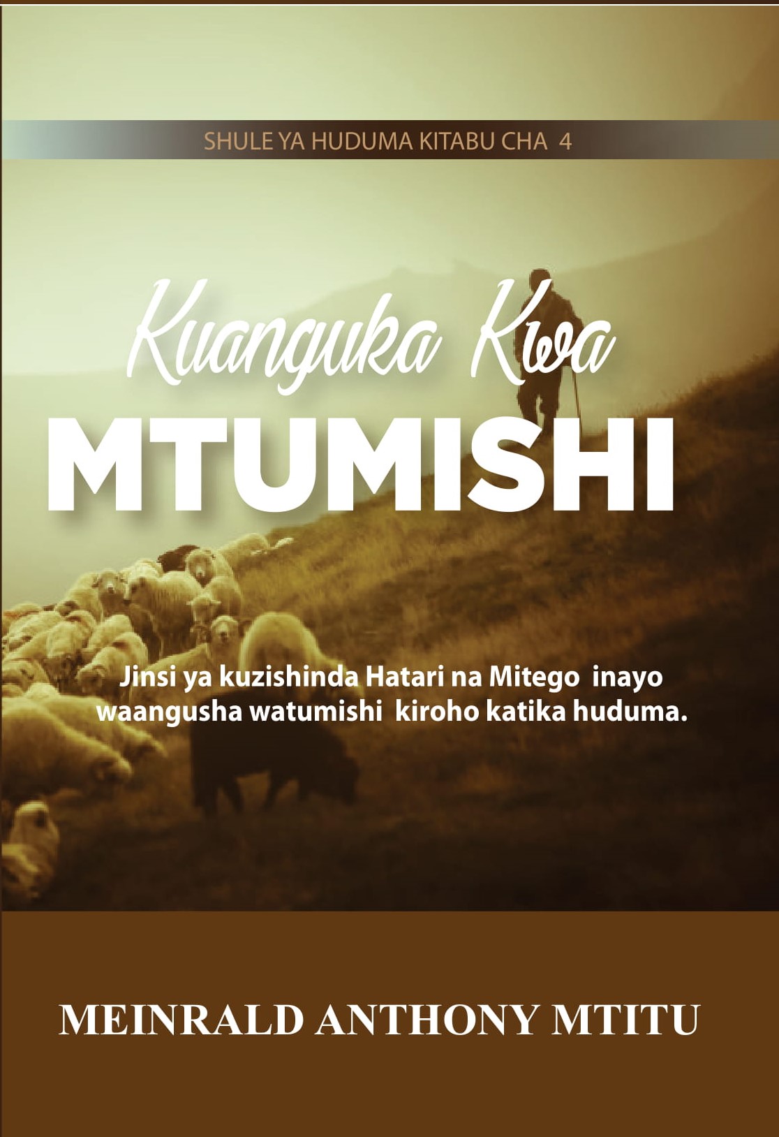 Biashara & Ujasilimia Mali